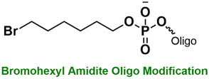 Bio-Synthesis Inc. Oligo Structure